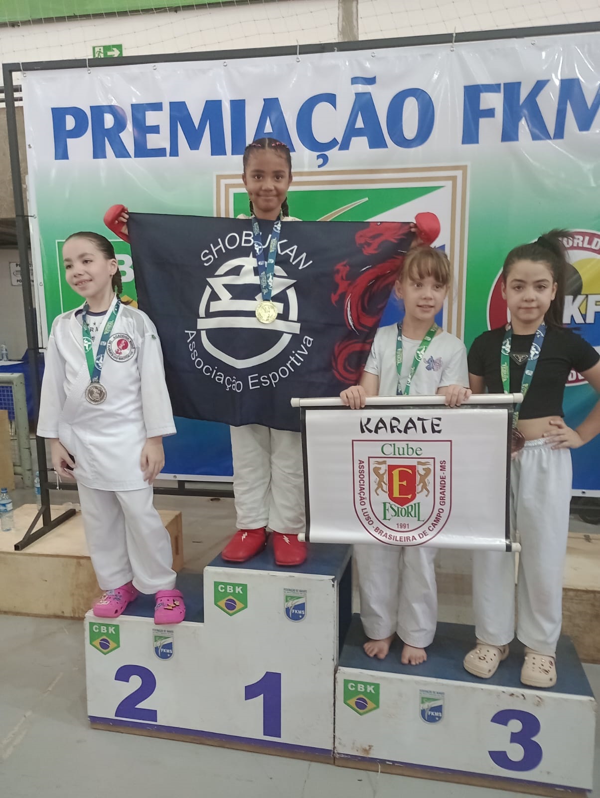 Imagem 8 da galeria